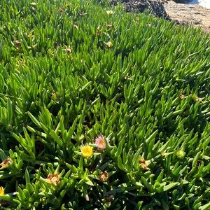 Meet your Posher, Hailey